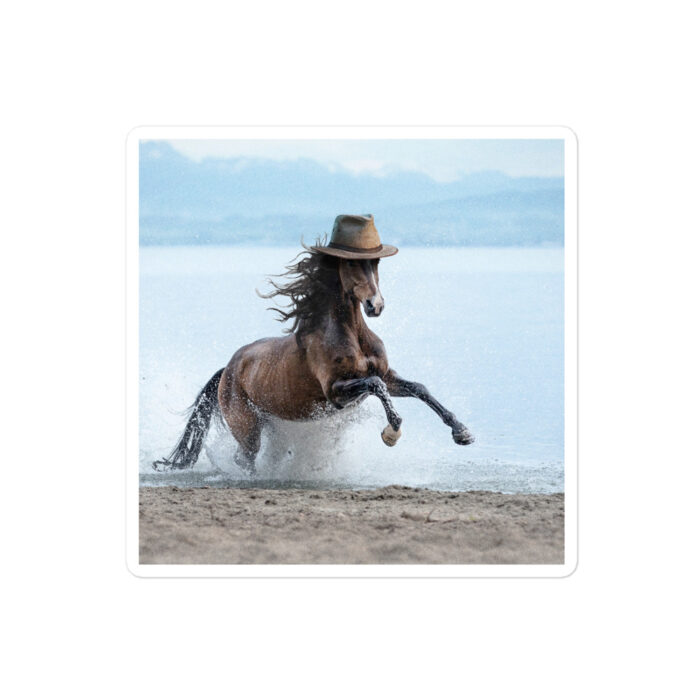 Cowboy Horse – Vinyl Sticker