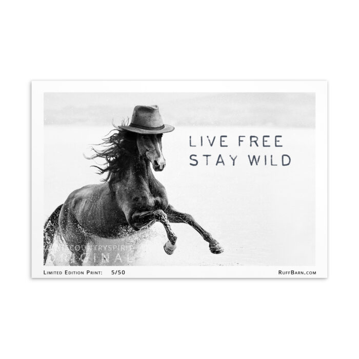 Live Free (B&W) - Limited Edition Postcard