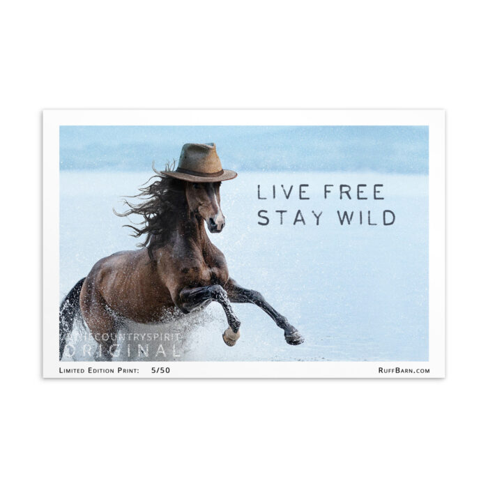 Live Free - Limited Edition Postcard